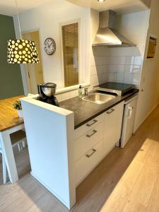 een keuken met een spoelbak en een aanrechtblad bij Appartement Baken in Hollum