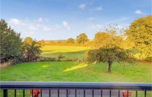 a view of a green field with a tree at 4 Bedroom Awesome Home In Saint-pierre-sur-orth in Sillé-le-Guillaume