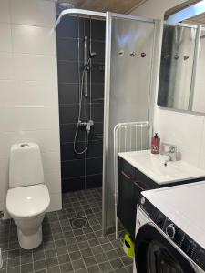 uma casa de banho com um WC, um chuveiro e um lavatório. em Pitkäkuusen rahkis em Lahti