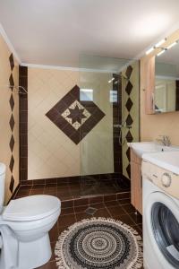 レティムノ・タウンにあるCasa Mavili, Top Location - Cozy Interiorsのバスルーム(トイレ、シャワー、シンク付)