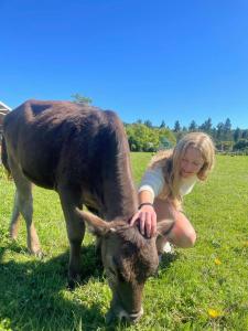 a young girl petting a cow in a field at Bella Manga Country Escape in Plettenberg Bay