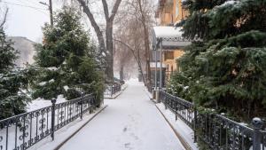 a snowy street with christmas trees and a fence at Апартаменты Центр Медеуский Район in Almaty