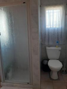 a bathroom with a toilet and a glass shower at The Cottage at 19 in Kempton Park