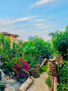 a garden with flowers and a bike in the dirt at Bedouin Lodge Luxor in Luxor