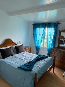 1 dormitorio con 1 cama con cortinas azules y ventana en Casa da Nora en Póvoa de Lanhoso