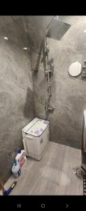 a bathroom with a shower with a toilet in it at شالية منتجع ارض السعادة 1 in Obhor