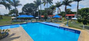 uma grande piscina azul com palmeiras e guarda-sóis em Cabañas Cafeteras Cerritos em Pereira