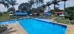 una gran piscina azul con palmeras y sombrillas en Cabañas Cafeteras Cerritos, en Pereira