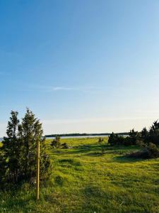 un campo de hierba verde con un poste en él en Romantiline ja privaatne talu Pädaste lahe ääres en Pädaste