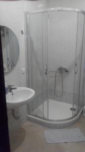 a bathroom with a shower and a sink at Apartment Zámecká in Děčín
