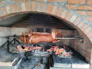 a meat cooking in a brick oven at Vikendica Dragica 1 in Ljubovija