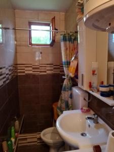 e bagno con lavandino, servizi igienici e doccia. di Vikendica Dragica 1 a Ljubovija