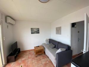 a living room with a couch and a tv at Appt T3 front de mer belle vue in Narbonne