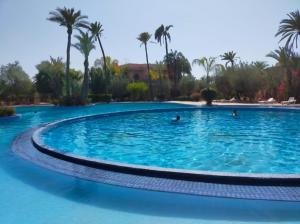 a swimming pool in a resort with palm trees at Palmeraie Village in Marrakech