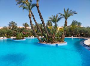 una piscina con palmeras en un complejo en Palmeraie Village en Marrakech