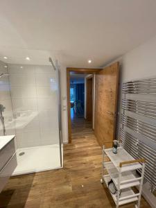 a bathroom with a shower and a sink and a toilet at Chalet zum Wohlfühlen in Ramsau am Dachstein