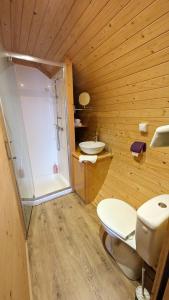 uma casa de banho com um WC, um lavatório e um chuveiro em La Ferme des Denis em Chanos-Curson