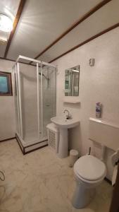 a bathroom with a shower and a toilet and a sink at Chalet in bosrijke omgeving op chaletpark Kempenbos naast Duc de Brabant voor 2-3-4-5 personen in Diessen