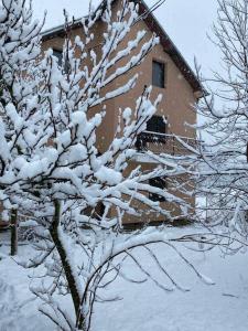 un albero ricoperto di neve accanto a una casa di Apartmani Vlaška a Vlaška