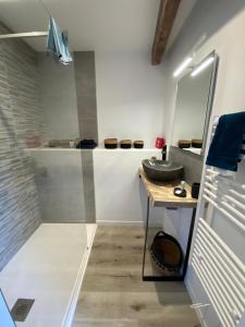 Et badeværelse på Maisonnette 2/4 personnes en bord de sevre + 16 billeder