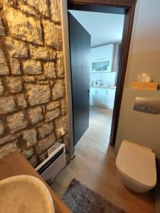 a bathroom with a toilet and a stone wall at Delphi Gorge-view Chalet, Arachova in Arachova