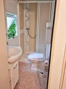 łazienka z toaletą i umywalką w obiekcie Villaggio Turistico Il Lago Dorato w mieście Carlazzo