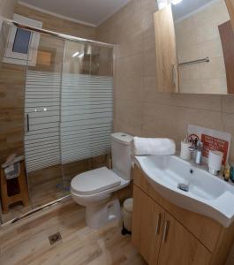 a bathroom with a toilet and a sink and a shower at Voulas Traditional House Meteora 1 in Kalabaka