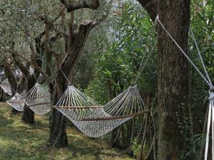 three hammocks hanging from trees in a forest at Hotel Caesius Thermae & Spa Resort in Bardolino