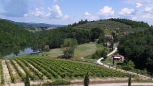 ariaal uitzicht op een wijngaard op een heuvel naast een rivier bij Agriturismo San Bernardino Del Lago in Rapolano Terme