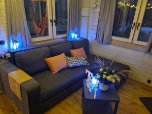 a living room with a couch and a table with lights at Pie Putniem in Lapmežciems