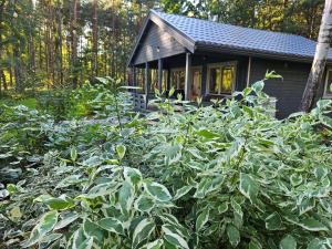 Pie Putniem في لابميزتسيمس: منزل أمامه الكثير من النباتات