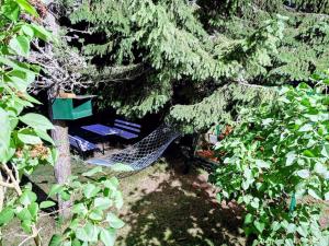 a hammock in a tree with a bench in it at 7Pines Bijambare - Air Spa in Sarajevo