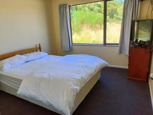 Schlafzimmer mit einem Bett, einem Fenster und einem TV in der Unterkunft 130 Jacks Pass Rd in Hanmer Springs