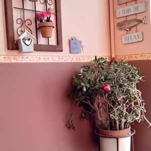 eine Wand mit einer Topfpflanze und einem Spiegel in der Unterkunft Il Cortile in Brugherio