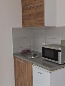 Kuchyň nebo kuchyňský kout v ubytování Spic Apartmani