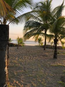 duas palmeiras numa praia com o oceano em Casa pacifico em Las Lajas