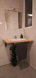 La salle de bains est pourvue d'un lavabo et d'un miroir. dans l'établissement Casa d´Avó, 