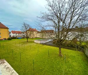 a field of grass with a tree and a fence at Modern 2 Bedroom Apartment near train station in Eichwäldchen