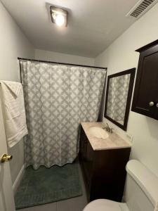 La salle de bains est pourvue d'une douche, d'un lavabo et de toilettes. dans l'établissement Urban Retreat 3 Bedroom Apt., à Chicago