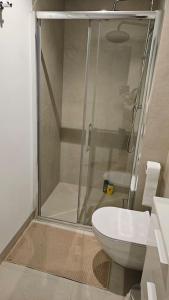a bathroom with a shower and a toilet at Villa Neptun Apartament nad morzem Gdańsk Wyspa Sobieszewska in Gdańsk