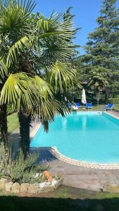 een groot zwembad met een palmboom ernaast bij Villa Carla Piemonte private pool in Melazzo