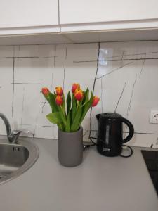 Sadržaji za pripremu kafe i čaja u objektu Apartman Lenka