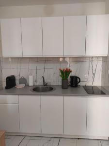 Kuhinja ili čajna kuhinja u objektu Apartman Lenka