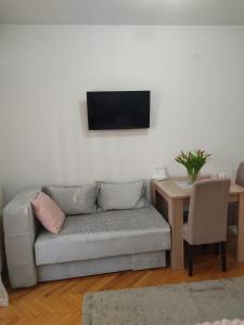 TV a/nebo společenská místnost v ubytování Apartman Lenka + 20 fotografií