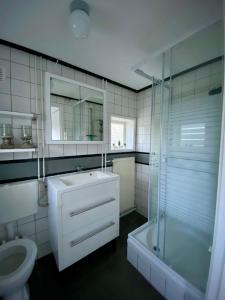 a bathroom with a sink and a shower and a toilet at La Mare in Zoutelande +20 photos