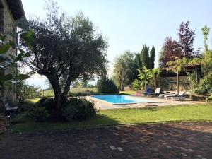 ein Baum in einem Garten mit einem Swimmingpool in der Unterkunft Villa Natura Piemonte with pool in Castino
