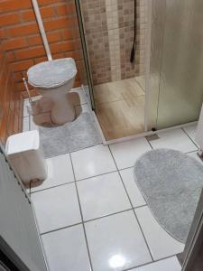 uma casa de banho com um chuveiro e um WC. em Casa Tia Dori em Rio Forcação