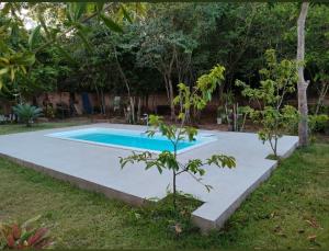 a swimming pool in a yard with a tree at Casa Alter do Chão Natureza in Alter do Chao