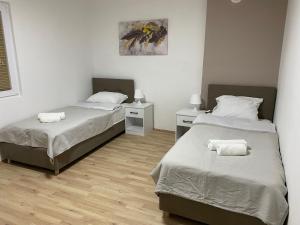 Afbeelding uit fotogalerij van FIA HOUSE Kozle in Skopje