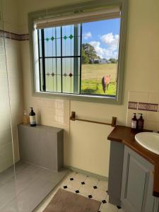 uma casa de banho com um lavatório e uma janela com uma vaca em Relaxing & beautiful Miner's cottage near Wilson’s Prom em Foster